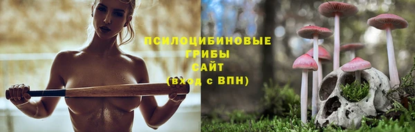 прущие грибы Абинск